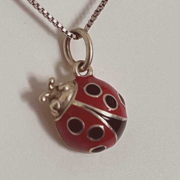 Tiffany & Co. Jewelry Authentic Tiffany Co Ladybug Red Enamel